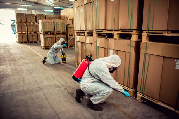 Best Exterminator Services  in Florin, CA