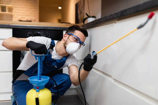 Best Emergency Pest Control  in Florin, CA