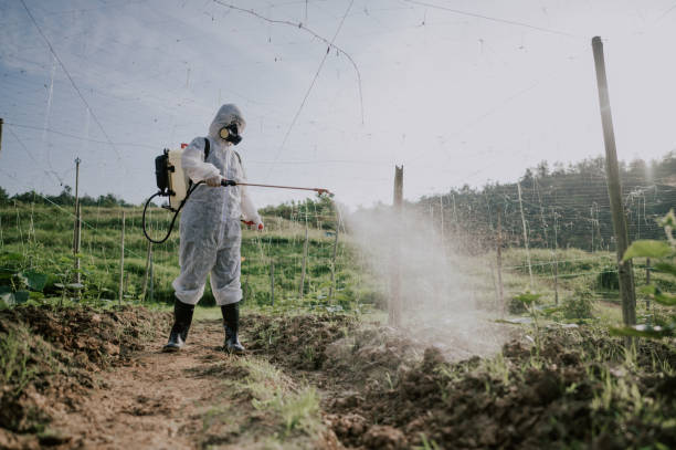 Best Mosquito Control Services  in Florin, CA