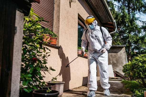 Best Best Pest Control Companies  in Florin, CA