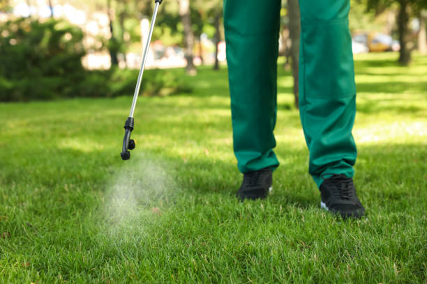 Best Affordable Pest Control Services  in Florin, CA