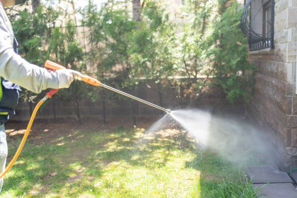Best Flea Control Services  in Florin, CA
