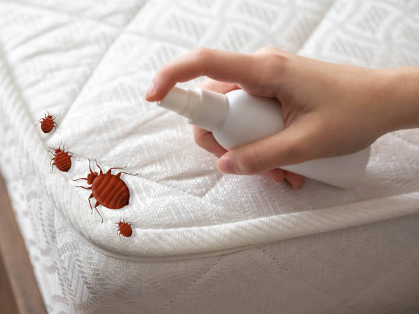 Best Affordable Pest Control Services  in Florin, CA